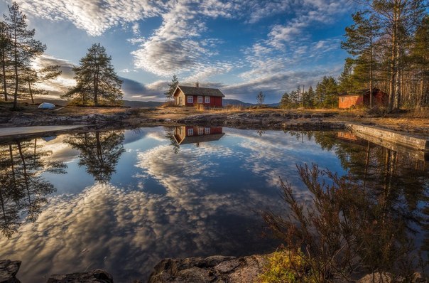      . Ole Henrik Skjelstad - 3