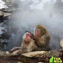 ���� ������, ������ - ��������� 5 ������� 2016 � ������ ������