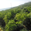 ���� ��������, �������, 60 ��� - ��������� 14 ������� 2017 � ������ ���� ���������