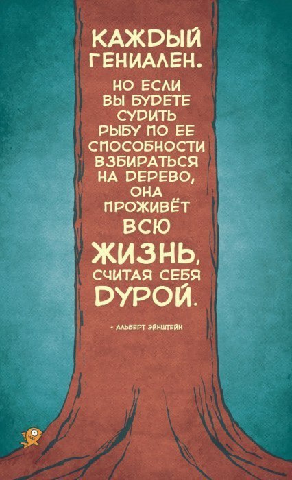 LIFE -  - 27  2016  19:04