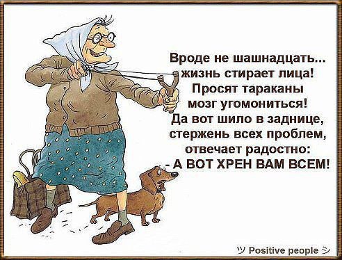 Когда я стану бабушкой.... Когда я стану бабушкою старенькой, Я волосы покрашу фиолетовым. И выброшу ...