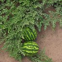 ������ �� ����� � ���������� ���. �� ������� ���� ����������