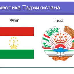 �����, ������, 37 ���