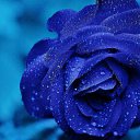 ���� �����, ��������, 47 ��� - ��������� 16 ������� 2016 � ������ ���� ����������