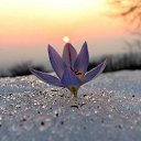 ���� �������, ���������, 59 ��� - ��������� 15 ������ 2016 � ������ ������ ��������