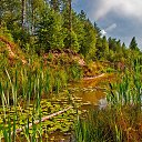 ���� �������, ������, 49 ��� - ��������� 28 �������� 2016 � ������ ������ ��������