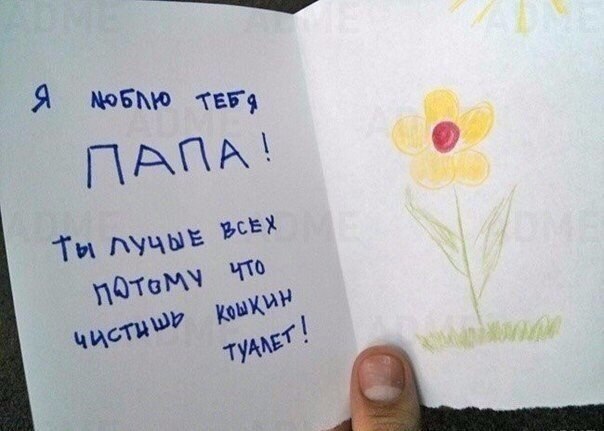 -10    ,  ,    - 8