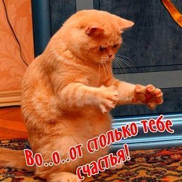���� Qwer, �����-��������� - ��������� 16 ������� 2017