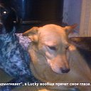 ���� Nickol, �������, 65 ��� - ��������� 8 ������� 2016 � ������ ������� �