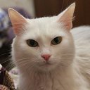 ���� ���������, ������, 75 ��� - ��������� 25 ����� 2017 � ������ ��� �� ��������!�