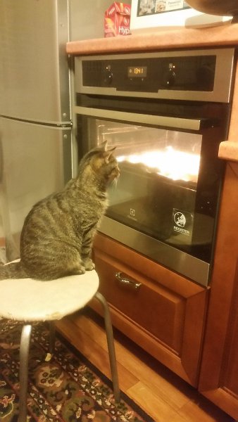 ����� �� �� ����� ����...