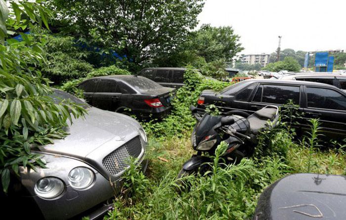         Bentley, Mercedes-Benz  Land Rover - 2