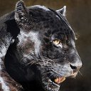 ���� ����� (98 Rus), �����-��������� - ��������� 19 ������ 2016 � ������ ������ ��������