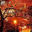 ���� ���, ����� - ��������� 21 �������� 2016 � ������ ���� ����������