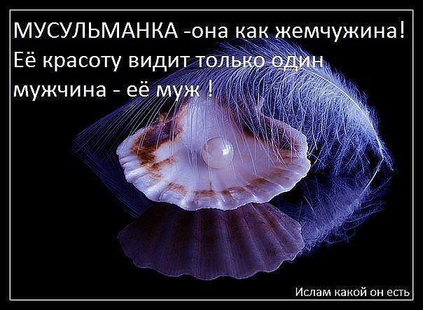 счастья есть....... - 4 января 2017 в 19:58