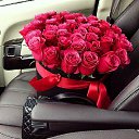 ���� �����, �������� - ��������� 4 ������ 2017 � ������ ���� ����������