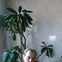 ���� ���������, ������-���, 51 ��� - ��������� 13 ������ 2017 � ������ ���� ����������