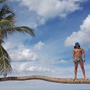 ���� �����, ������ - ��������� 18 ������ 2017