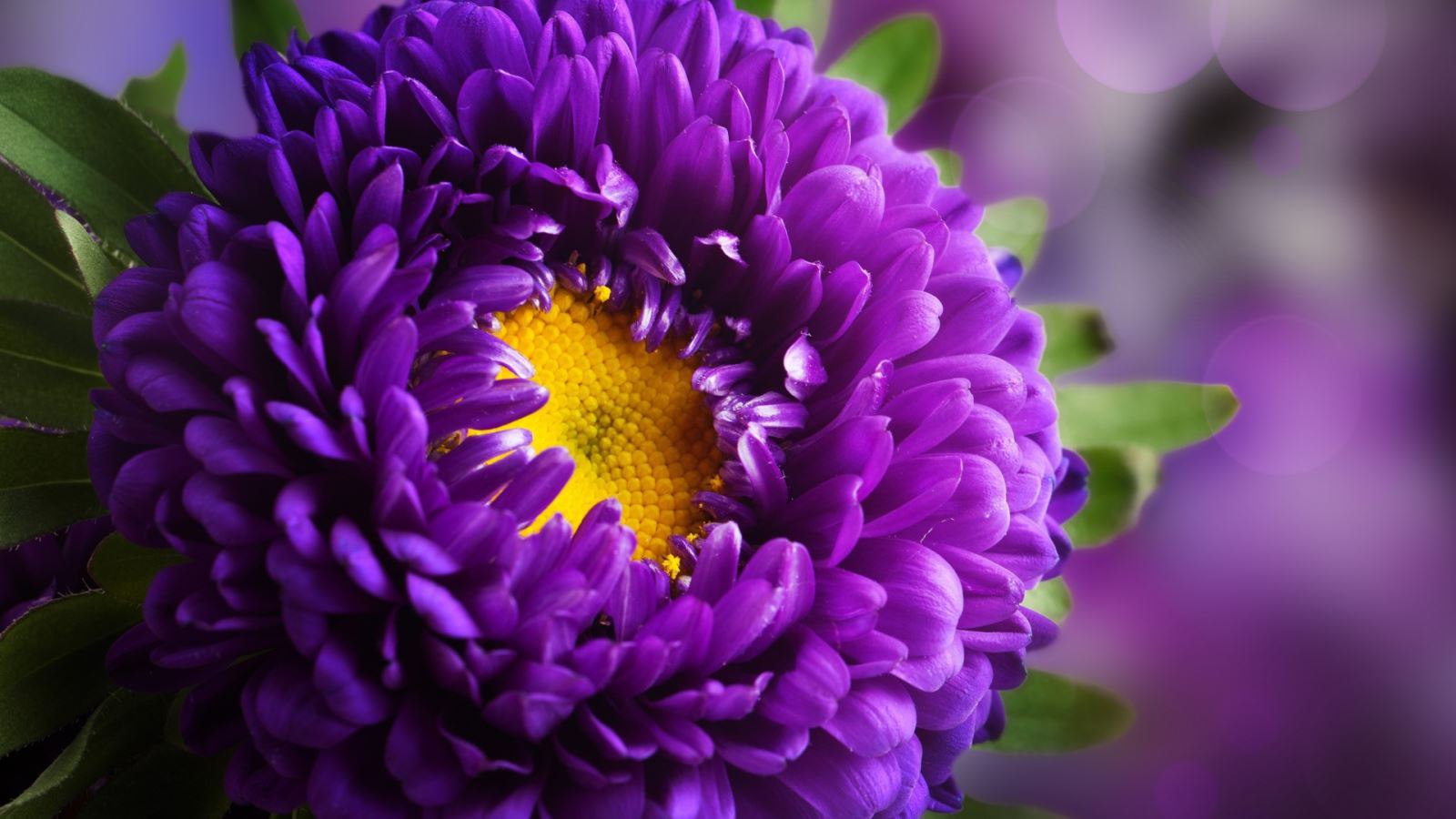         ! good mood -  . 11 ...