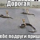 ���� ����������, ������ ��� - ��������� 12 �������� 2016 � ������ ���� ����������
