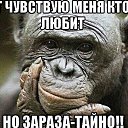 ���� ��������, ��������, 63 ���� - ��������� 27 ����� 2017 � ������ ���� ����������