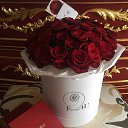 ���� R, ������� - ��������� 25 �������� 2016 � ������ ���� ����������