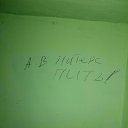 ���� �����, ������, 47 ��� - ��������� 21 ������ 2017 � ������ ���� ����������