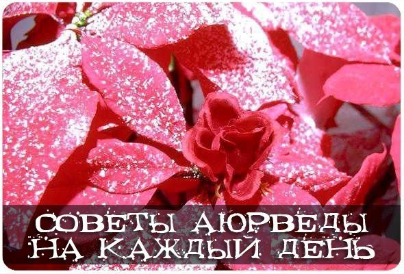 Советы Аюрведы на каждый день.1. После пробуждения выпейте один стакан или больше прохладной ...