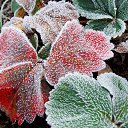 ���� �����, �����, 64 ���� - ��������� 22 ������� 2016 � ������ ������� ���������