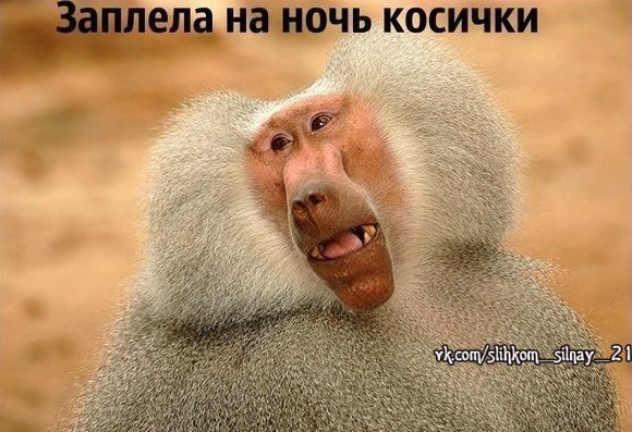 ������� �������, ����� �������.&copy; - 4 ������� 2016 � 23:10