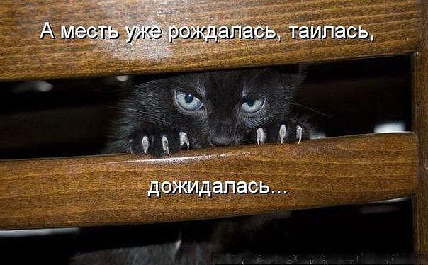 . .  ,      .  . . *** ,   ... - 7