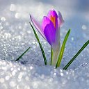 ���� �������, �����������, 71 ��� - ��������� 6 ����� 2017 � ������ ������ ��������