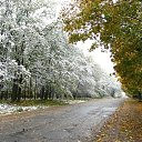 ���� ������, ���� - ��������� 26 �������� 2016 � ������ ������ ��������