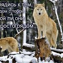 ���� ������, ������������ - ��������� 26 ������� 2016 � ������ ���� ����������