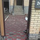 ���� �����, ���������� �����, 49 ��� - ��������� 10 �������� 2016 � ������ ������ ��������