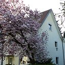 ���� Jana, ������, 68 ��� - ��������� 2 ������ 2017 � ������ ������ ��������