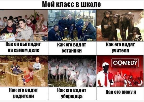    :D - 29  2016  20:12