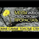 ���� �������, �����, 56 ��� - ��������� 16 ������ 2016 � ������ ������ ��������