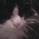 ���� ���������, ������������ - ��������� 11 ����� 2017 � ������ ���� ����������