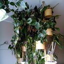 ���� ���������, �����-���������, 64 ���� - ��������� 29 �������� 2016 � ������ ���� �������� ����� !�