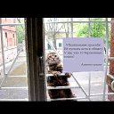 ���� ������ �����, ������ - ��������� 3 ������� 2017 � ������ ������ ��������