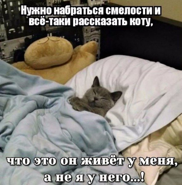 *OOPS* - 12 ������� 2016 � 18:17