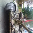 ���� �������, ������, 85 ��� - ��������� 29 ����� 2017 � ������ ���� ����������