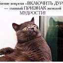 ���� �����, ������, 48 ��� - ��������� 29 ����� 2017 � ������ ���� ����������