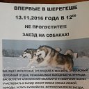 ���� �����, ������� - ��������� 31 ������� 2016 � ������ ������ ��������