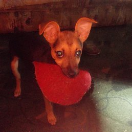 �����, �������, 47 ���