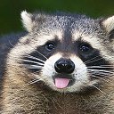 ���� ������, �����-���������, 46 ��� - ��������� 26 ������ 2016 � ������ ������ ��������