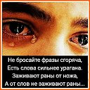 ���� ������, ������, 51 ��� - ��������� 30 ������ 2016 � ������ ���� ����������
