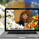 ���� ��������, ��������� - ��������� 29 ������ 2016 � ������ ���� ����������