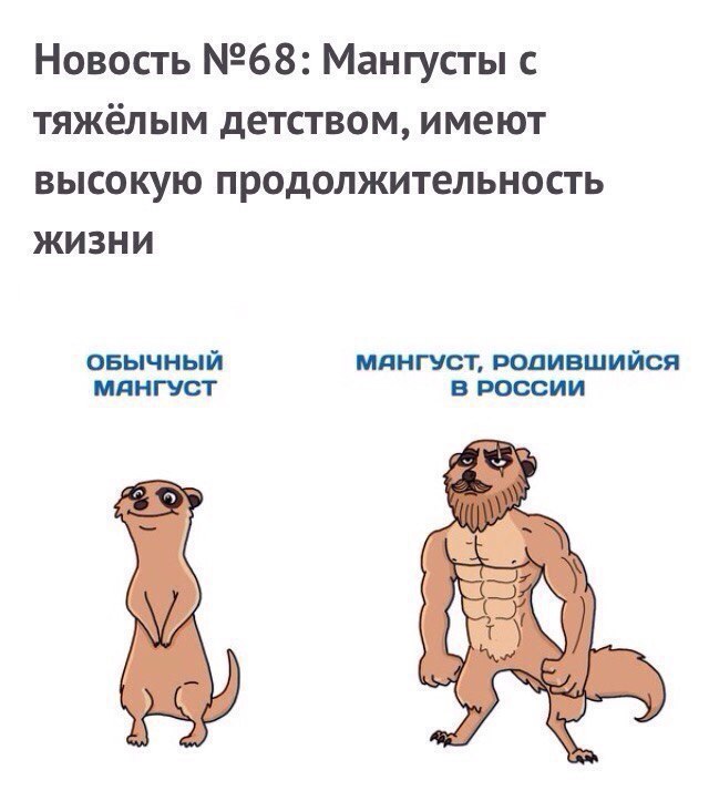    - 7  2017  11:20